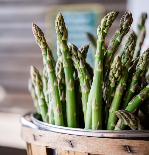 Asparagus Millennium 1 yr old crown Whiffletree Farm & Nursery