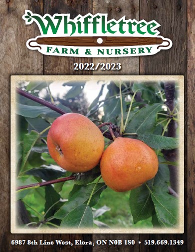 Whiffletree - Catalogue-Hardy Fruit Trees-Automne 2018, PDF, Apple