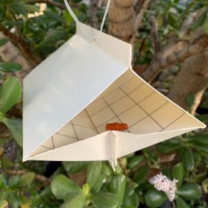 Gypsy Moth Trap Kit - Essex County Co-Op