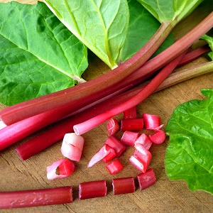 Rhubarb : CRIMSON RED 3 ¼ pot - Whiffletree Farm & Nursery