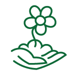 Bare Root Tree Bloom Group