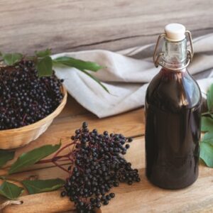 Elderberry : MARGE 1 year old plant