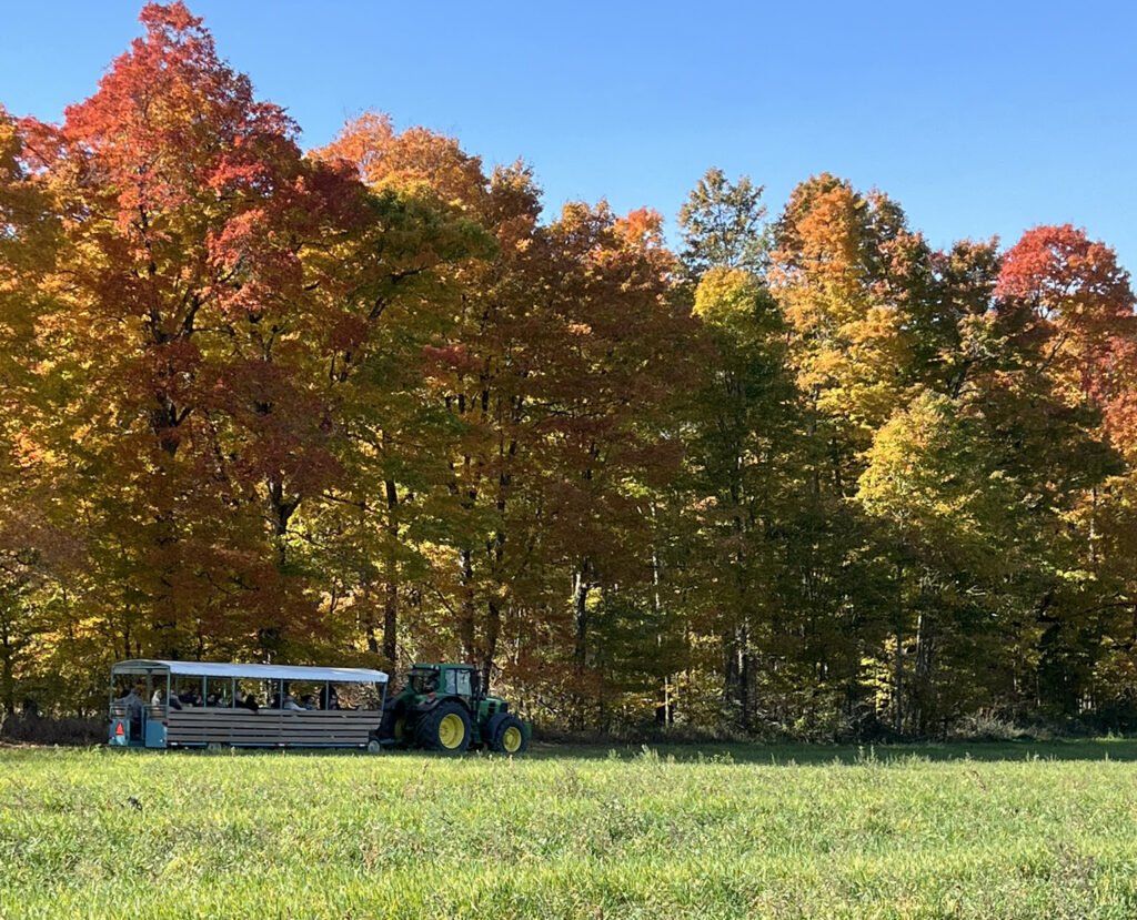 Tractor Ride Colours