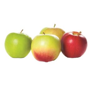 APPLE COMBO Semi-Dwarf (M106)  (Orchand Grade)