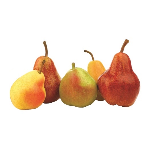 EUROPEAN PEAR COMBO Dwarf (Quince) (Orchard Grade)