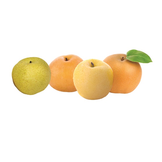 ASIAN PEAR COMBO Dwarf (Quince)