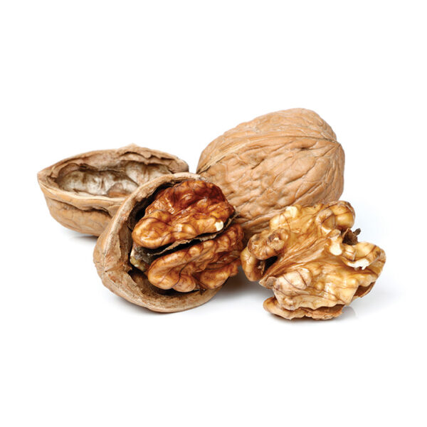 Nut : ENGLISH WALNUT