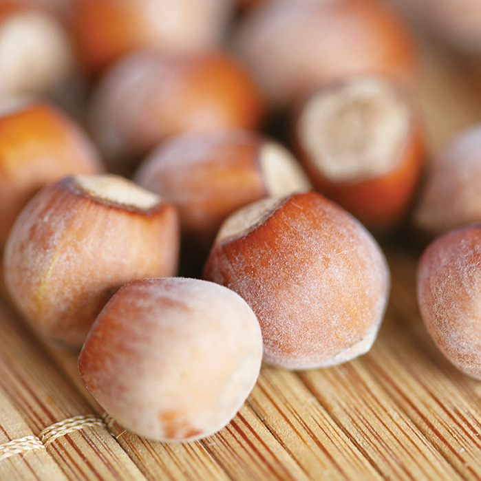 Nut : HAZELNUT