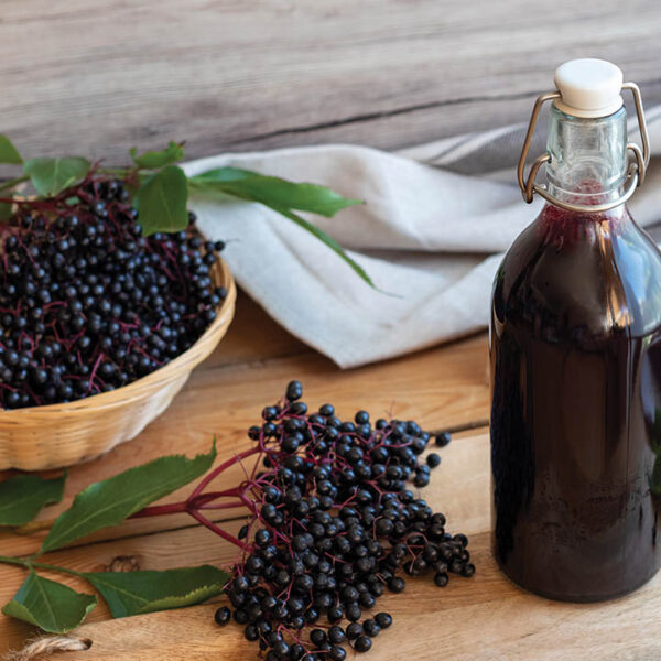 Elderberry :  MARGE