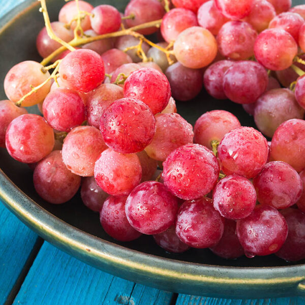 Seedless Grape : CANADICE