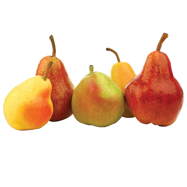 EUROPEAN PEAR COMBO