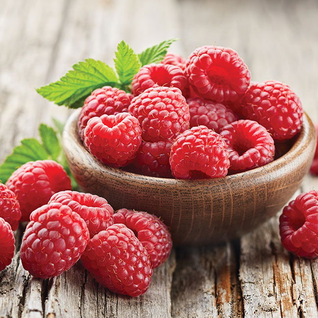 Raspberry Red : AAC EDEN (Summer Bearing)