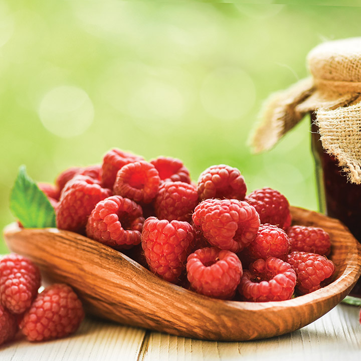 Raspberry Red : HIMBO-TOP® (Fall Bearing)