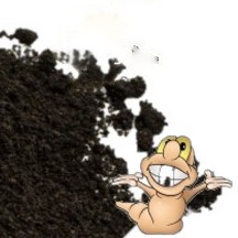 VERMIBEC WORM CASTINGS