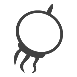 Bare Root Tree Bloom Group