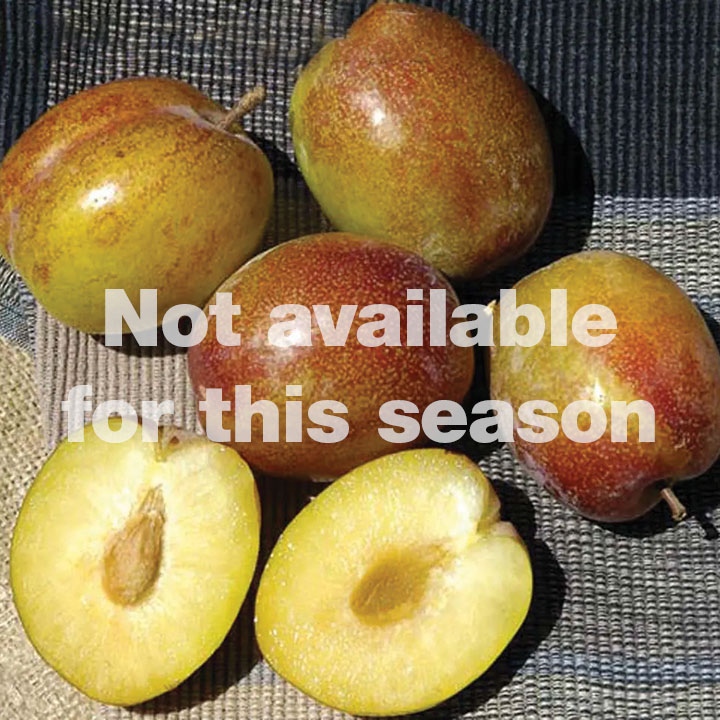 FLAVOR GRENADE&reg; PLUOT (Not available this season)
