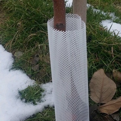 FLEXGUARDS
